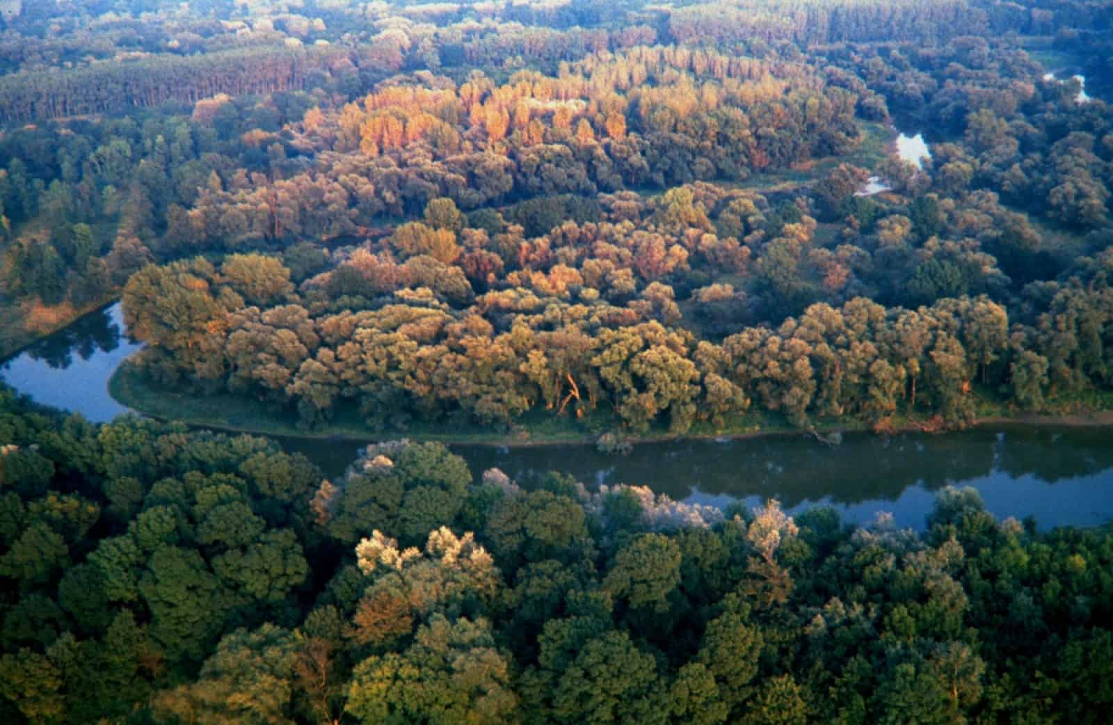 Donauauen Luftaufnahme Herbst