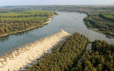 Wasserbaulobby torpediert Schutzbemühungen am "Amazonas Europas"