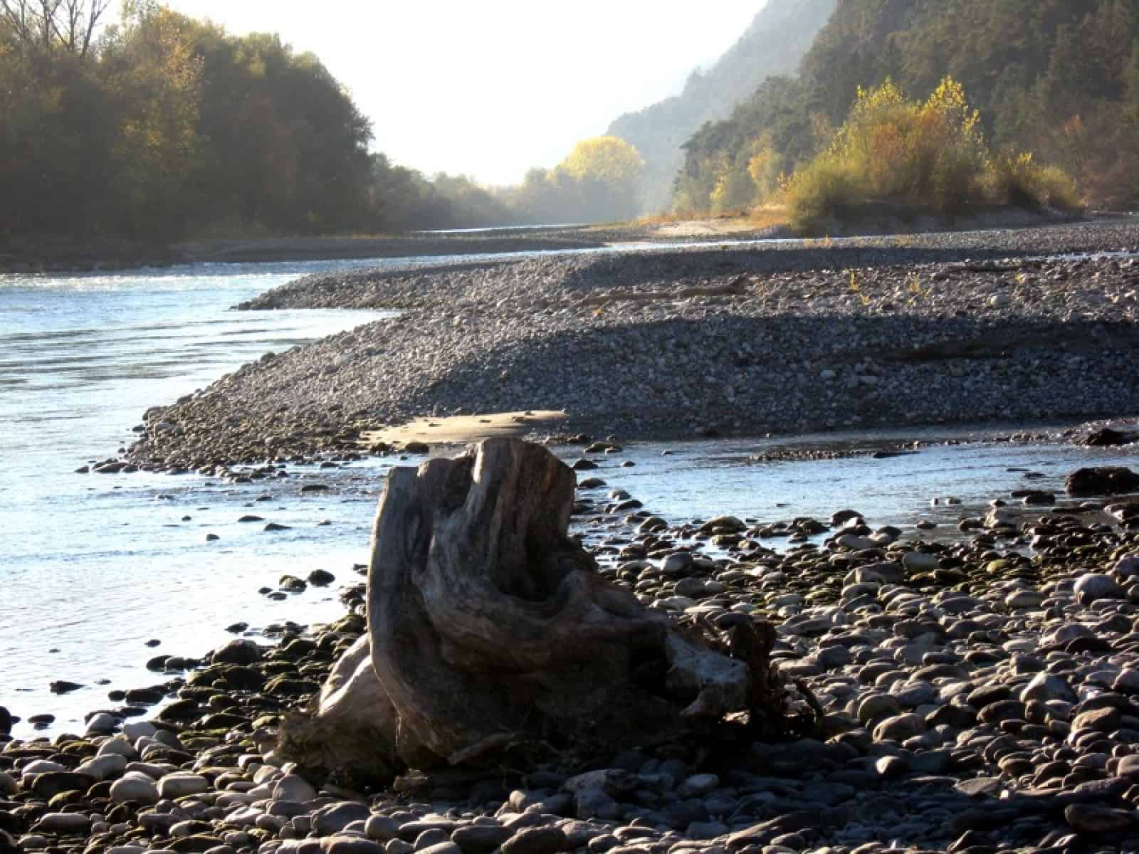 Innauen bei Telfs