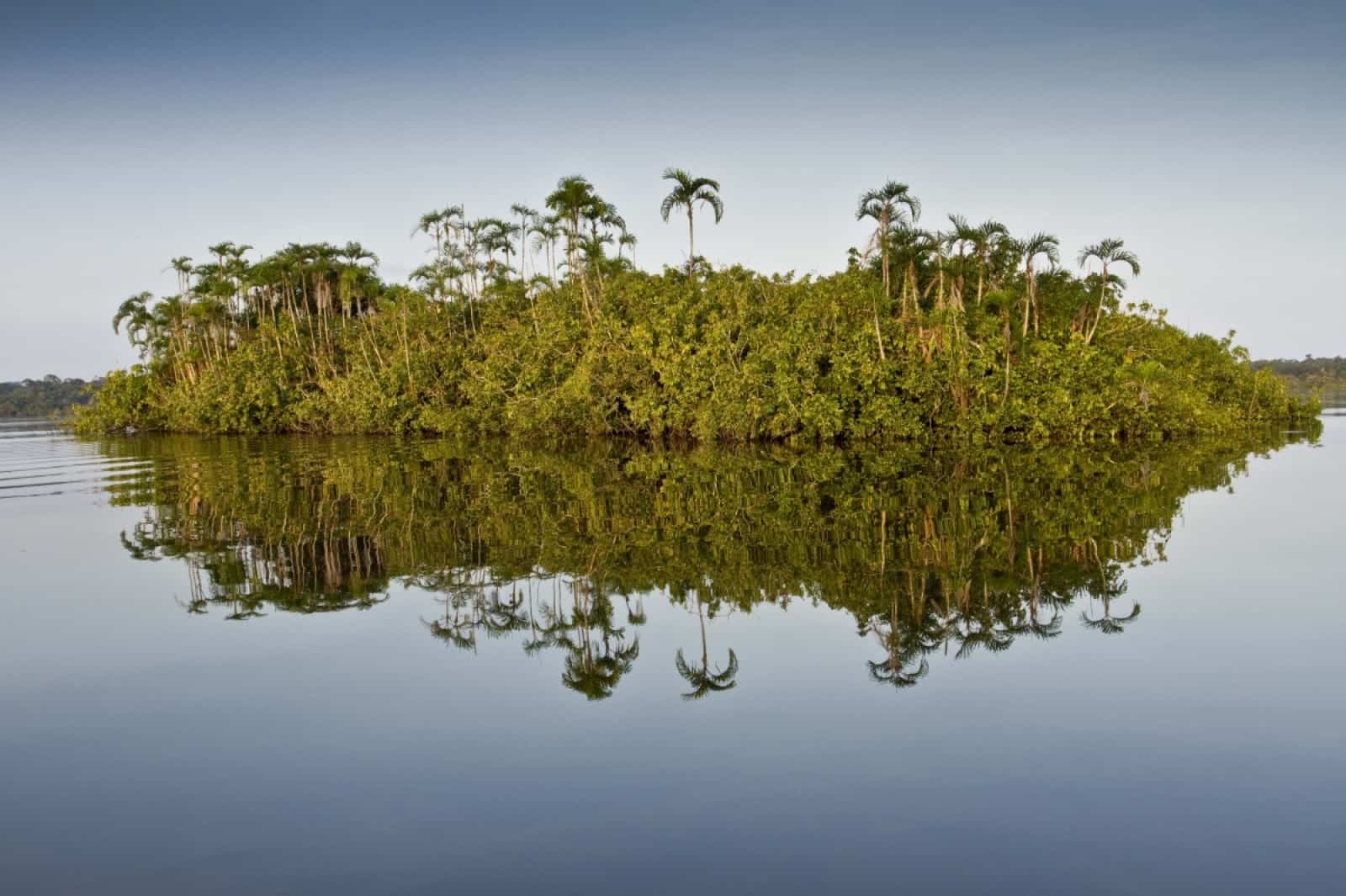 Cuyabeno Reservat Ecuador