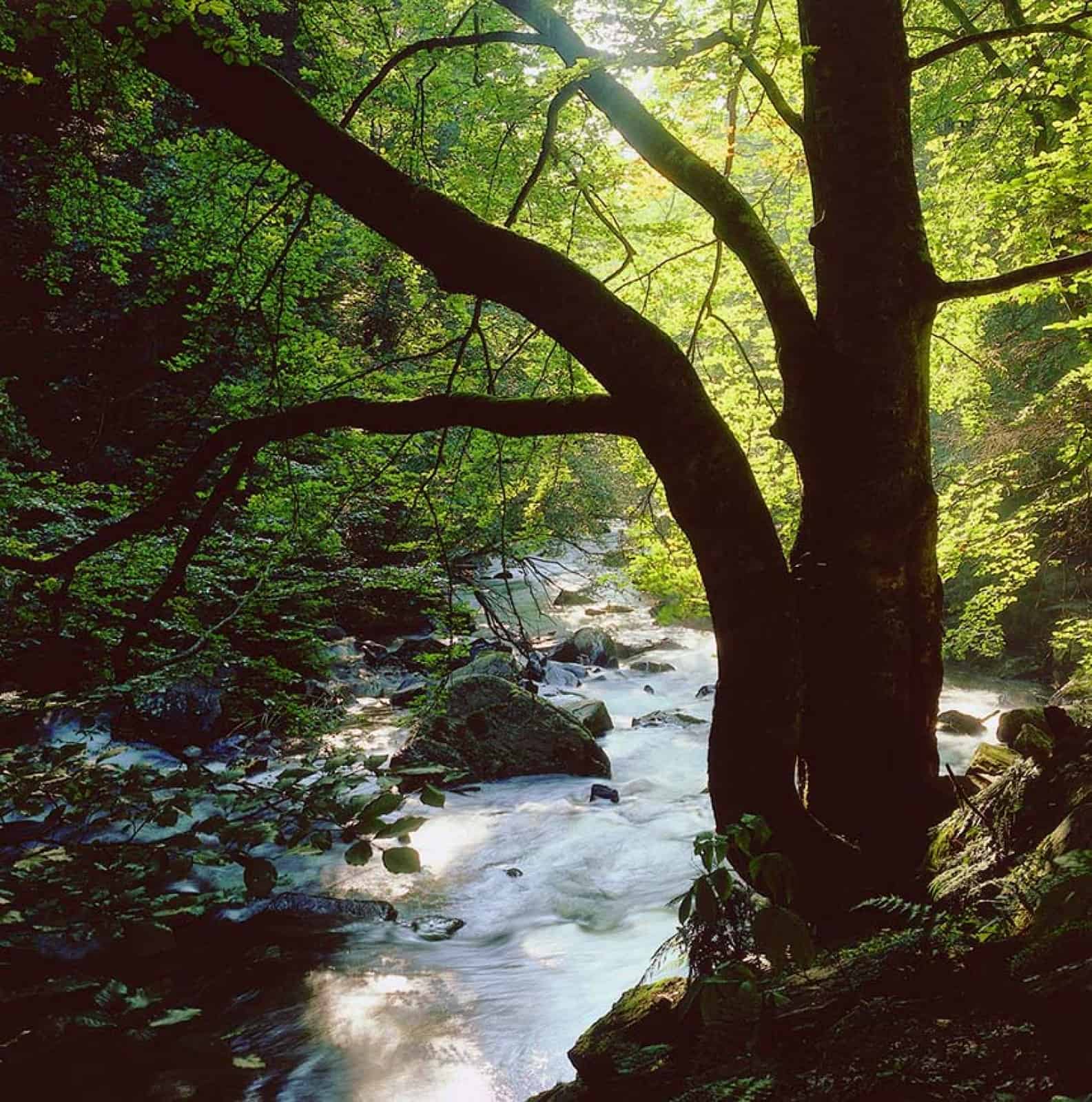 Schwarze Sulm, © by Erich Kump Schwarze Sulm, © by Erich Kump