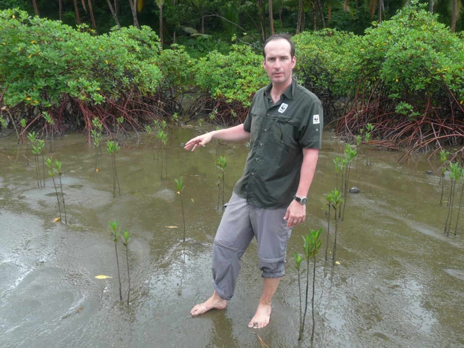 WWF-Mitarbeiter Georg Scattolin mit neu gepflanzten Mangroven