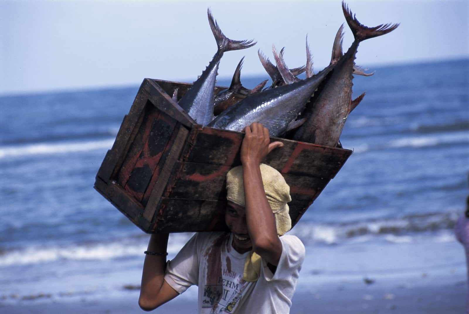 Nachhaltig gefangener Thunfisch. (c) Jürgen Freund/WWF-Canon