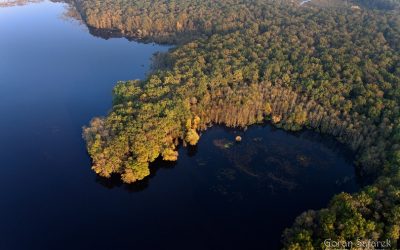 WWF zu Flutkatastrophe in Südosteuropa: Langfristige Lösungen gefragt