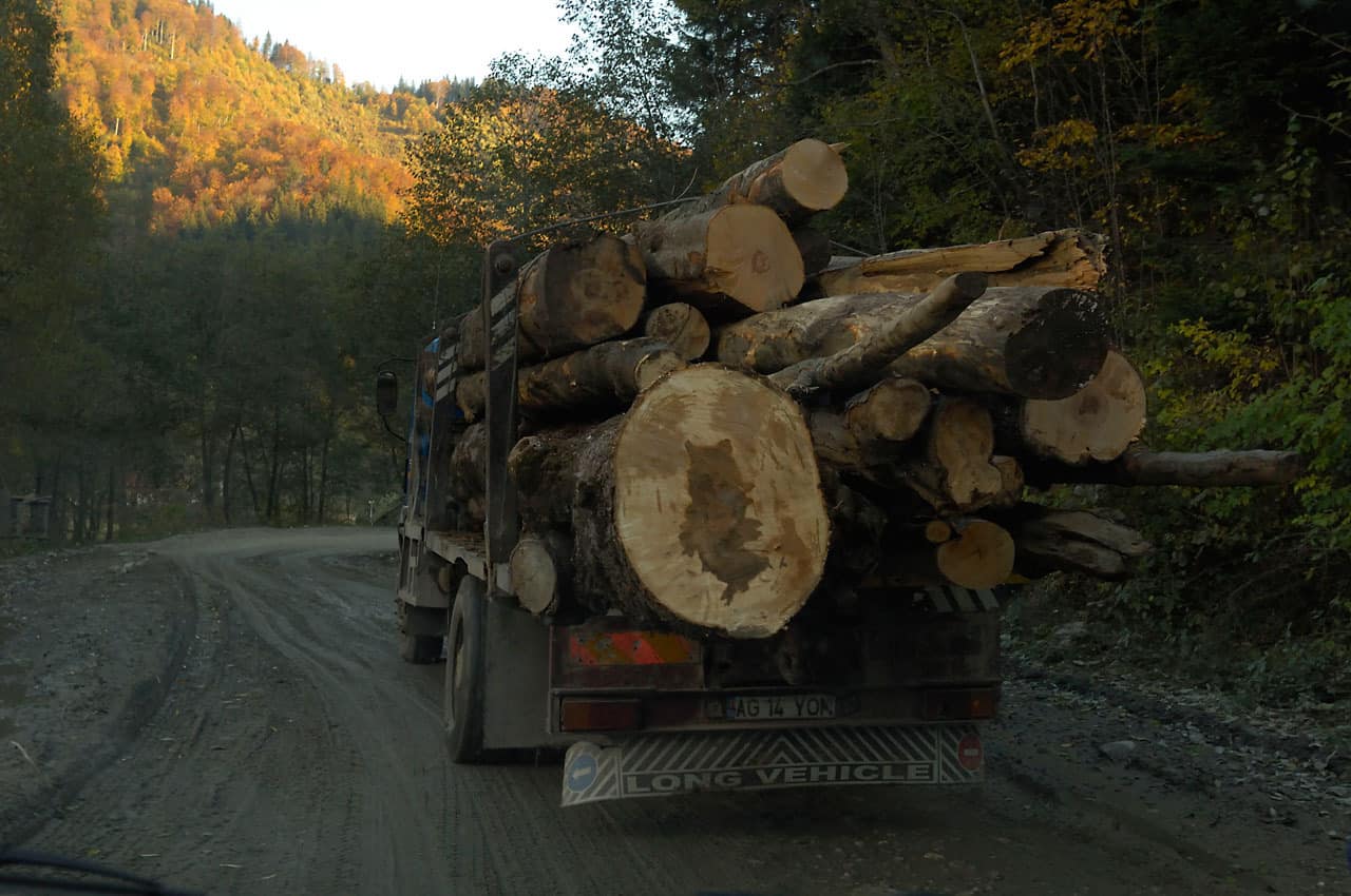 Holztransport