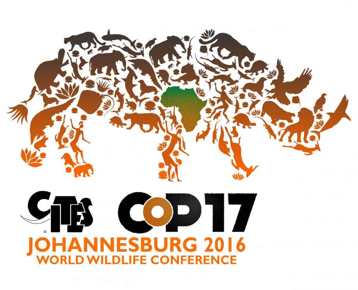 Cop 17