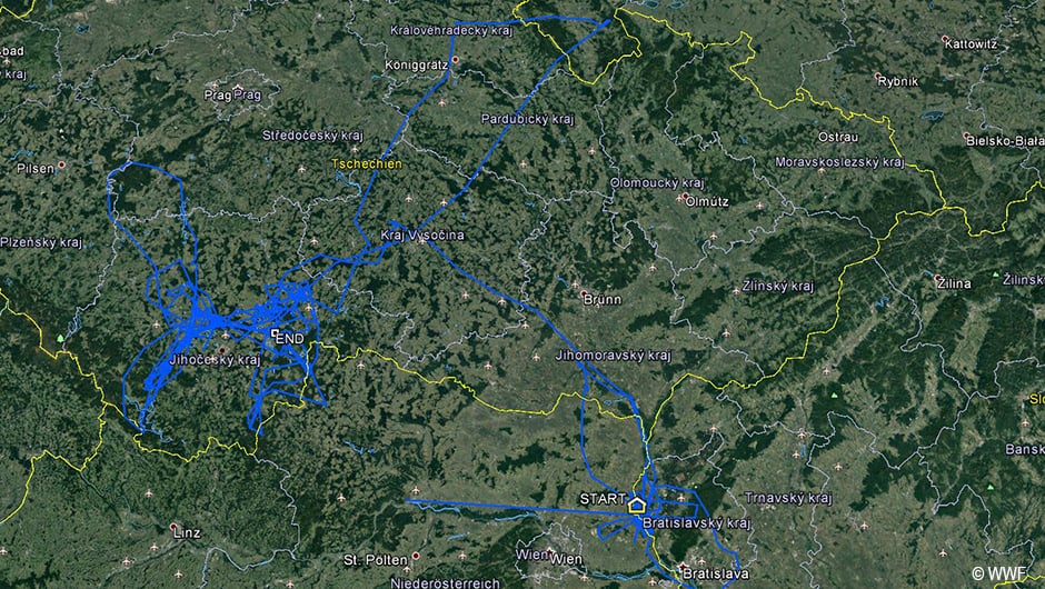 Flugroute von WTUS 09, © by WWF Flugroute von WTUS 09, © by WWF