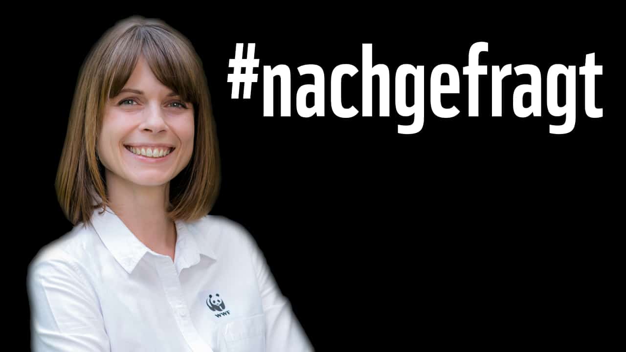 Hanna Simons, Leiterin der Naturschutzabteilung des WWF Österreich, fragt anlässlich der Nationalratswahl 2017 bei den Spitzenkandidaten der Parlamentsparteien nach