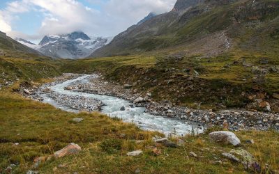 WWF: Grünes Licht für Mega-Speicherteich ist völlig falsches Signal