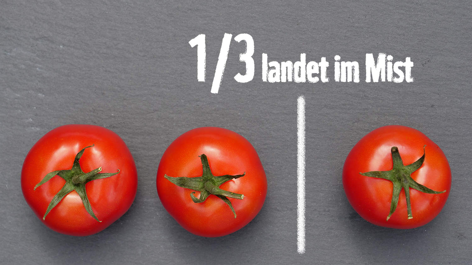 1/3 aller Lebensmittel landen jährlich im Mist
