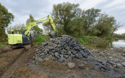 WWF und viadonau: Flussrenaturierung in Marchegg geht in die zweite Runde