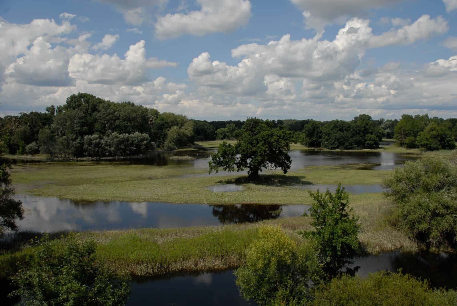 WWF-Naturreservat Marchauen