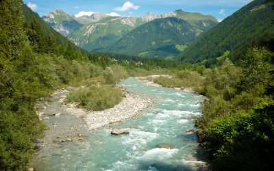 Nach Aus für Isel-Kraftwerk: WWF fordert Runden Tisch für dauerhaften Isel-Schutz