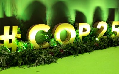 Weltklimakonferenz: WWF kritisiert politische Bankrotterklärung