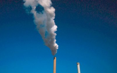 WWF: Erstes EU-Klimagesetz ist nicht ehrgeizig genug