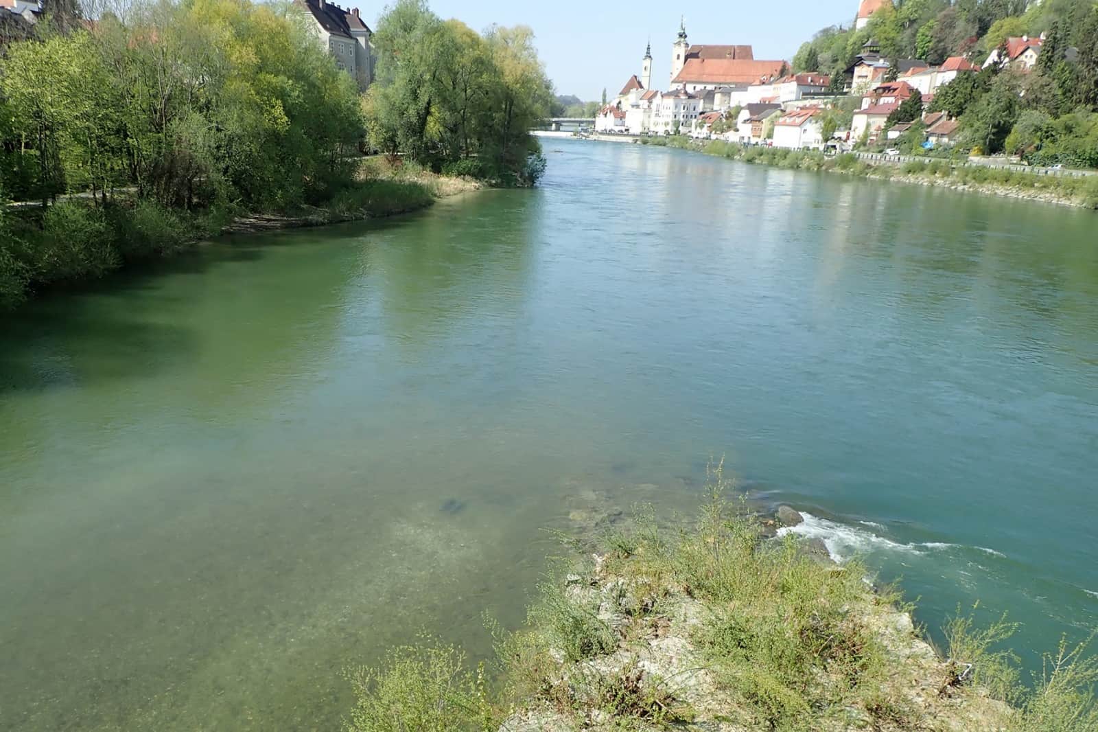 Huchen an der Enns bei Steyr_April 2020