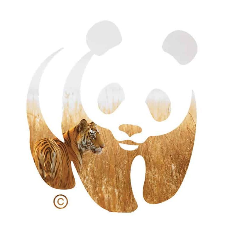 Stencil_Wilderei_website_800x800
