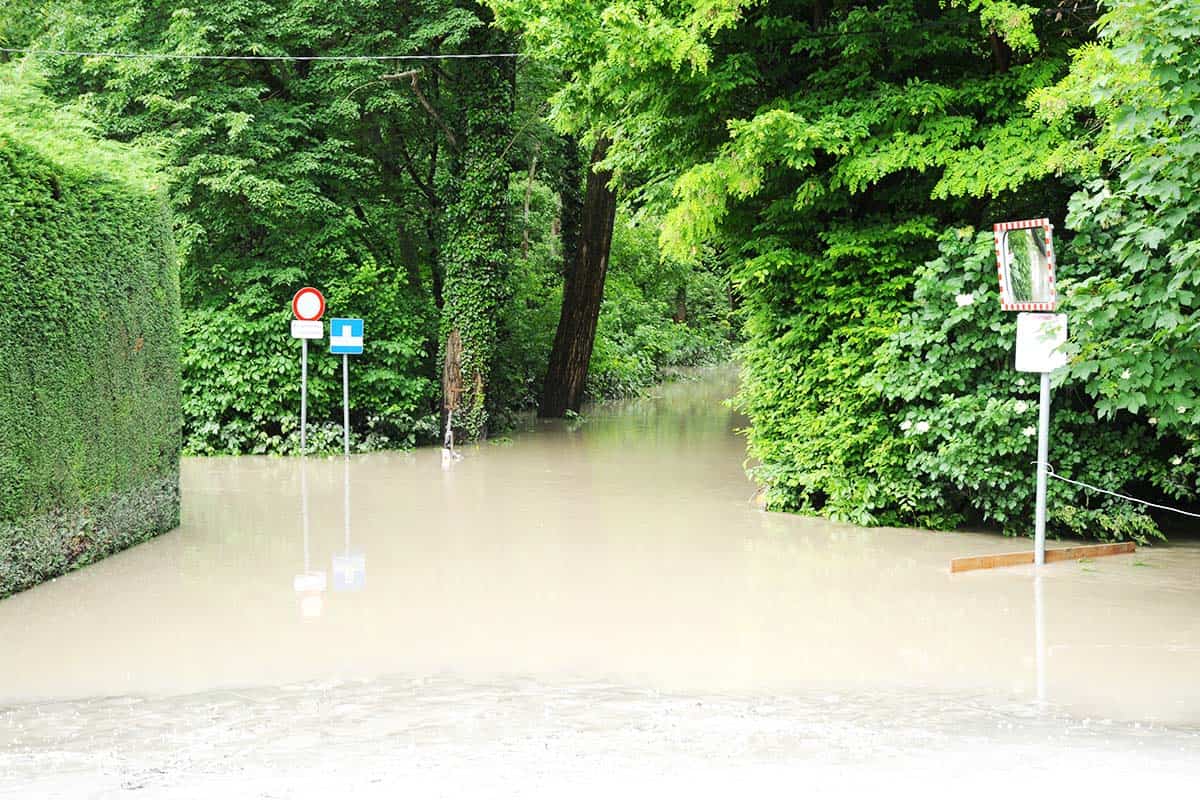Hochwasser in Klosterneuburg (c)Franko-Petri Hochwasser