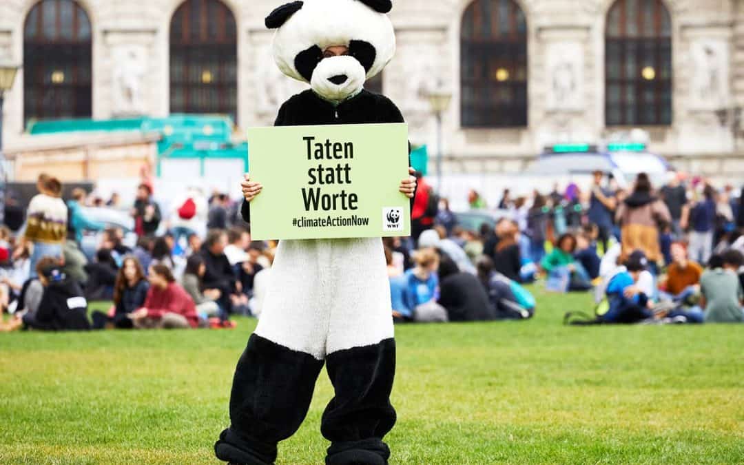 Weltweiter Klimastreik am 20. September 2024