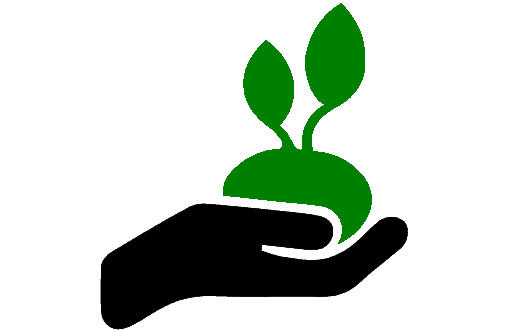 icon Gemüse