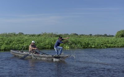Weltfischereitag: WWF warnt vor Folgen von Überfischung und Klimakrise