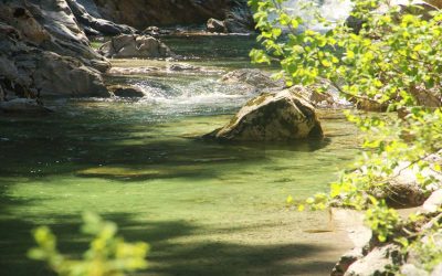6.-13.05.2023 und 30.09.-7.10.2023 Exkursion: Naturjuwele Ostösterreichs