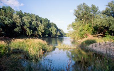 3 Gründe, warum der Lobau-Tunnel keine gute Idee ist