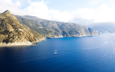 Kroatien, Italien oder Griechenland: WWF-Einsatz im Urlaubsparadies
