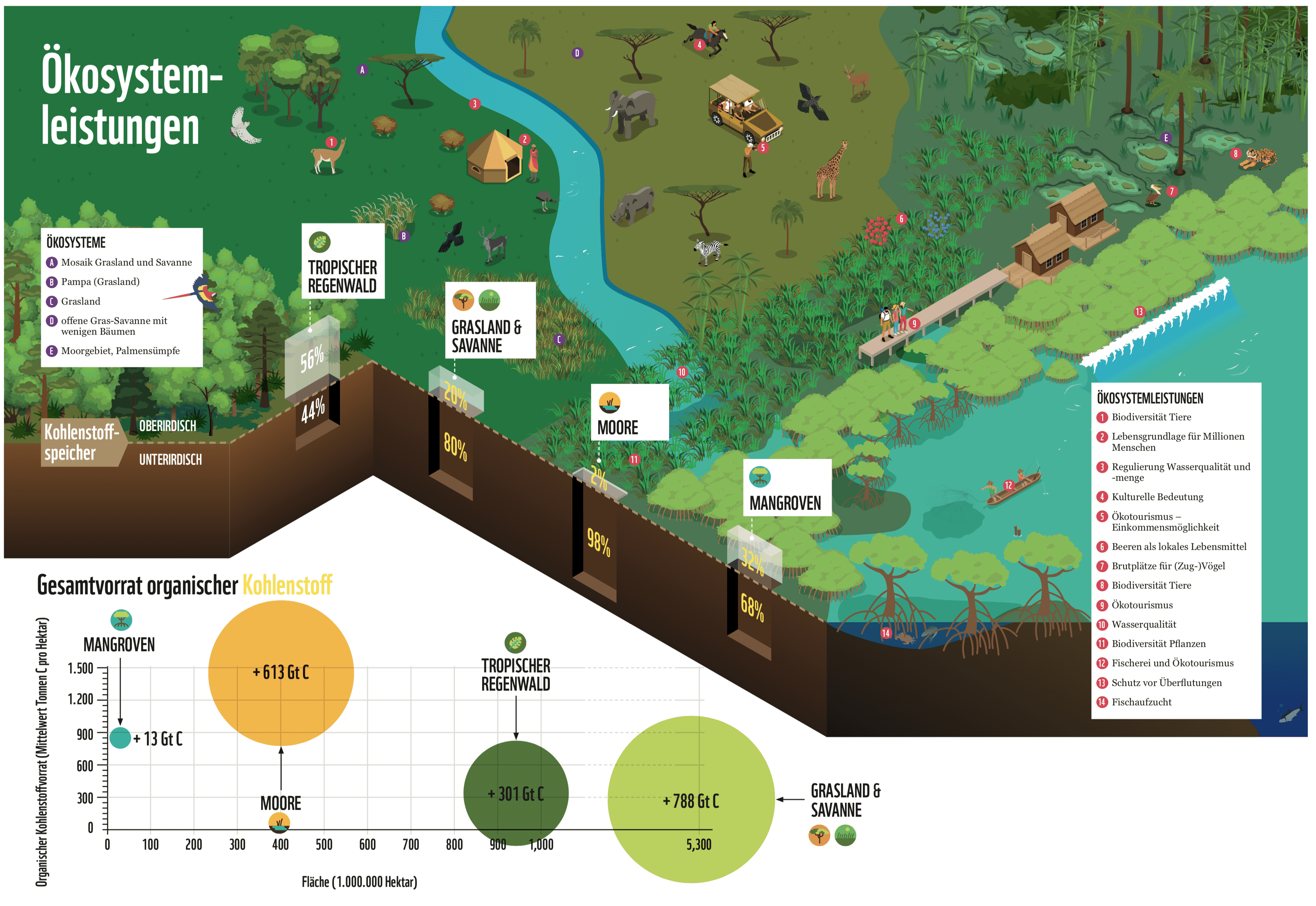 Grafik CO2 Speicher Waldzerstörung