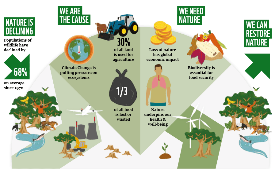 Nature means Business © WWF Nature means Business © WWF