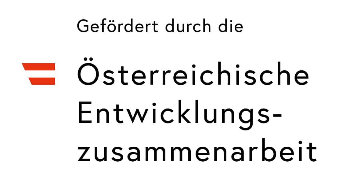 Logo_Förderung OEZA