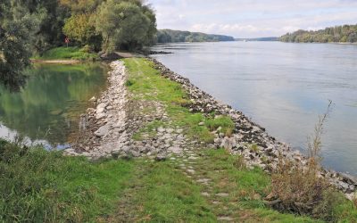 Das bedrohte Naturjuwel