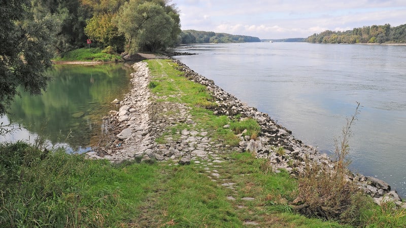 Auslauf_Haslau-Regelsbrunn-c-viadonau-Semrad