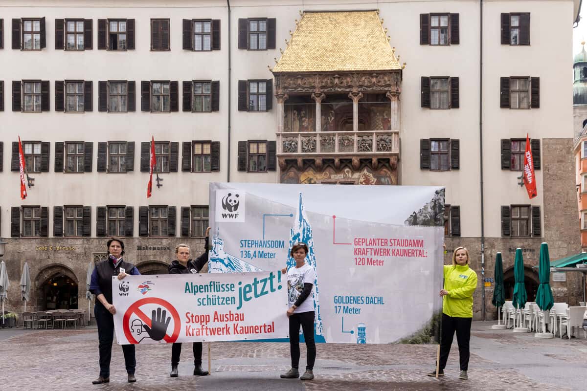 Pressekonferenz zu Kaunertal Erklärung (c) Hetfleisch/WWF