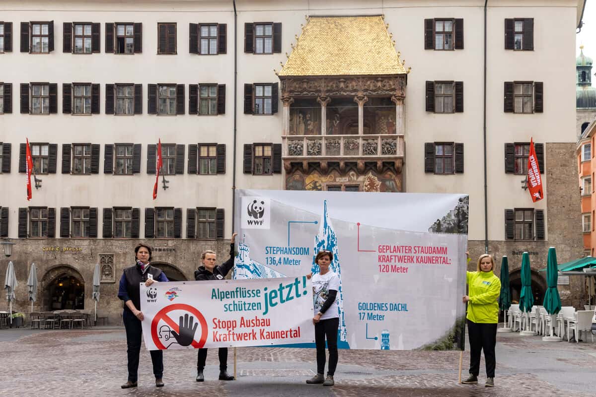 Pressekonferenz zu Kaunertal Erklärung (c) Hetfleisch/WWF Ausbaupläne Kraftwerk Kaunertal WWF Österreich