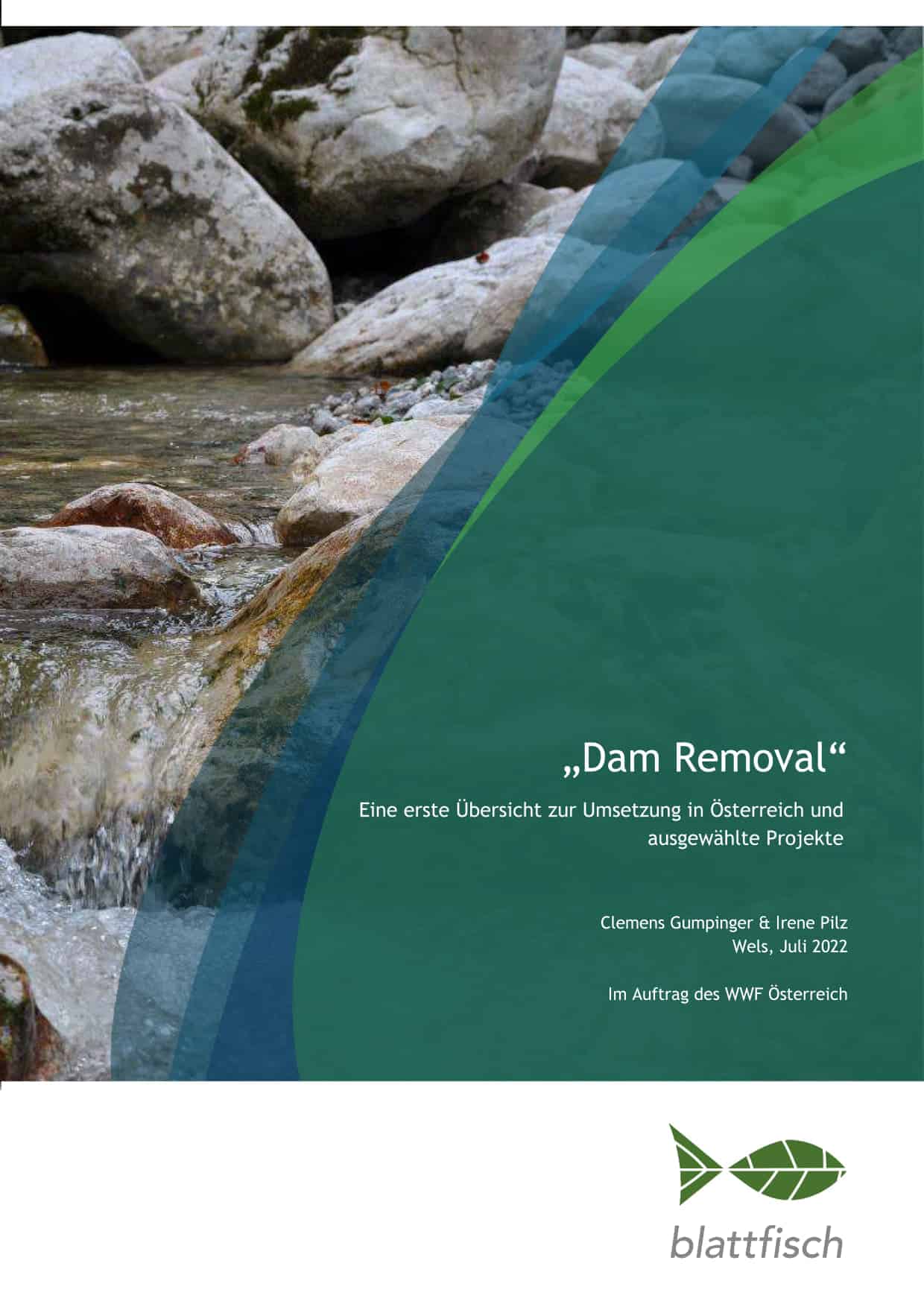 Cover_Studie Blattfisch 2022_Dam Removal Titelblatt Moorstudie