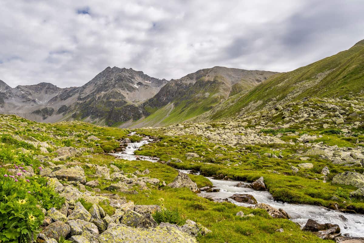 Header Konferenz Wirtschaftsfaktor-Biodiversität