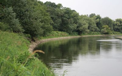 March: Wie der Fluss wieder natürlich werden kann