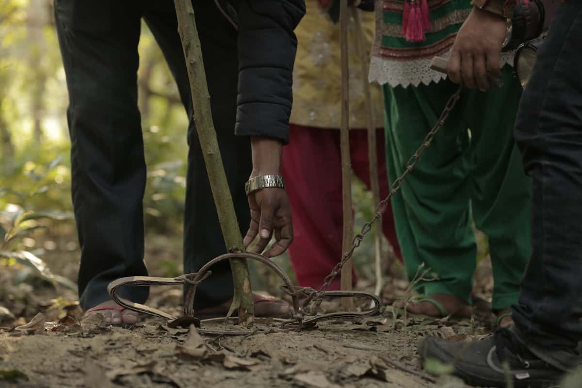 #iProtectTigers – Nepal