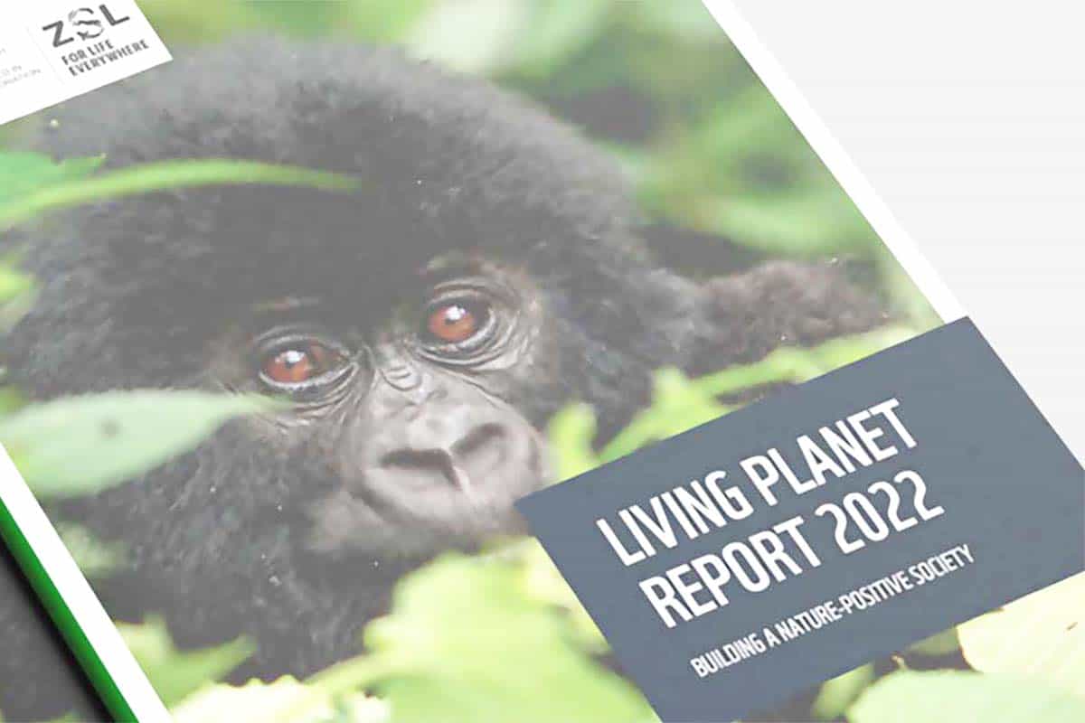 Living Planet Report 2022