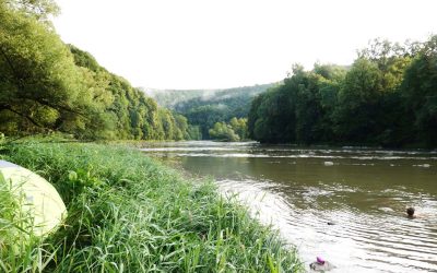 15. – 22. August 2025 – Exkursion: Experience Wilderness Waldkarpaten, Polen