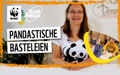 Video: Pandastische Basteleien