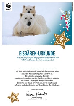 Urkunde Eisbär Weihnachten Urkunde Eisbär Weihnachten
