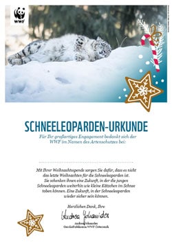 Urkunde Schneeleopard Weihnachten Urkunde Schneeleopard Weihnachten
