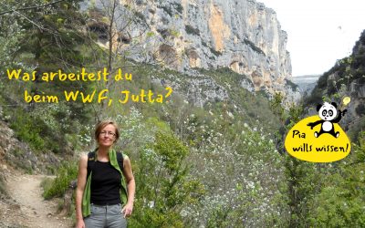 Team Panda fragt nach: Was ist deine Arbeit, Jutta?