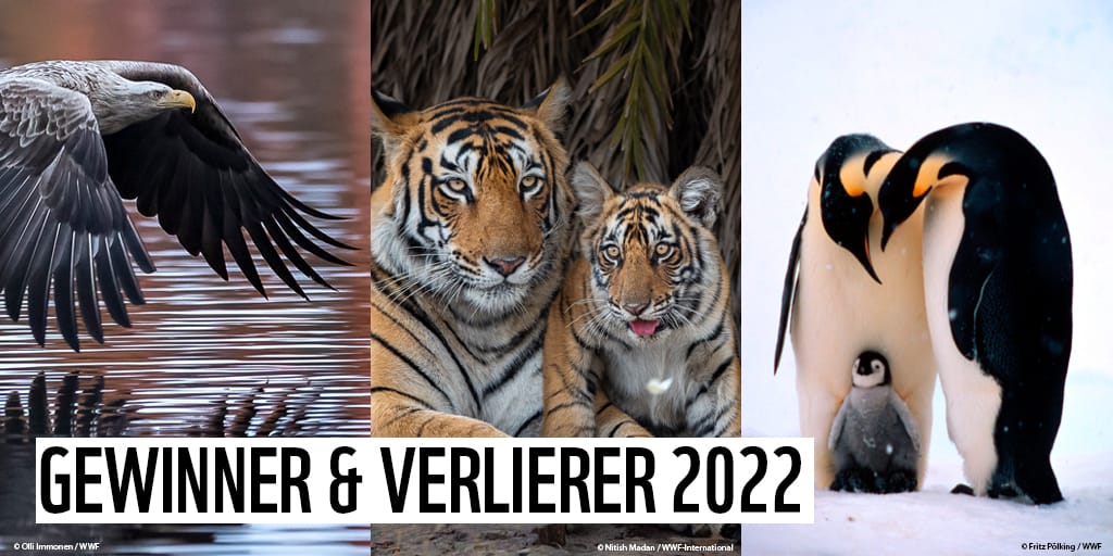 G&V_2022