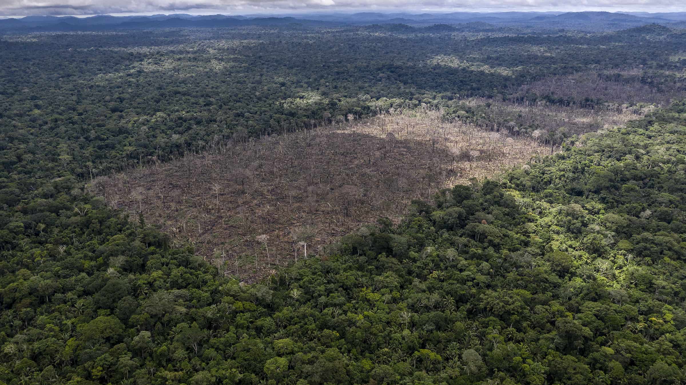 Entwaldung des Amazonas. (c) Marizilda Cruppe/WWF UK