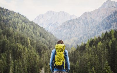 Biodiversität in Österreich: Unsere Lebensgrundlagen schützen und verbessern