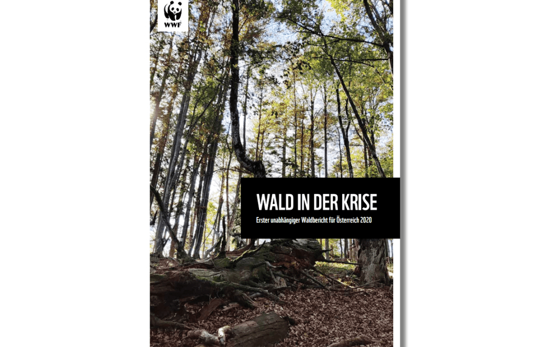 WWF Waldbericht Österreich 2020 - Wald in der Krise