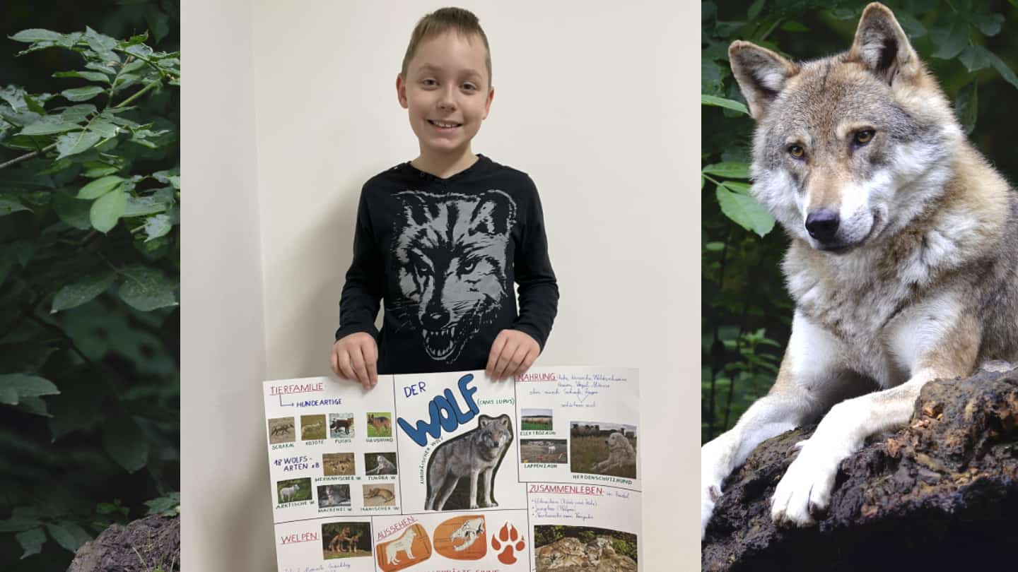 MoMoritz und sein tolles Wolfsplakat (c) pixabay/privat Schulprojekt Tausch4Future